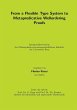 From a Flexible Type System to... - Bild 1
