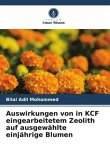 Auswirkungen von in KCF eingearbeitetem Zeolith auf ausgewählte einjährige Blumen