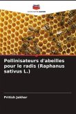 Pollinisateurs d'abeilles pour le radis (Raphanus sativus L.)