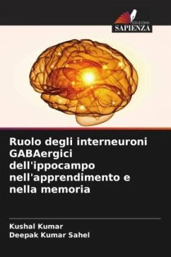 Ruolo degli interneuroni GABAergici dell'ippocampo nell'apprendimento e nella memoria - Kumar, Kushal;Kumar Sahel, Deepak
