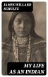 My Life as an Indian (eBook, ePUB) - Bild 1