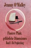 Finstere Pfade, gefährliche Dimensionen -Band 1 Die Prophezeiung (eBook, ePUB)