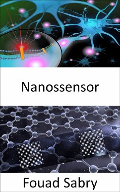 Nanossensor (eBook, ePUB) - Sabry, Fouad