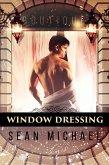 Window Dressing (eBook, ePUB)