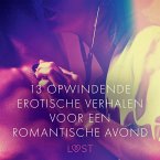 13 opwindende erotische verhalen voor een romantische avond (MP3-Download)