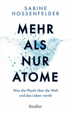 Mehr als nur Atome (eBook, ePUB) - Hossenfelder, Sabine
