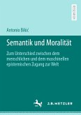 Semantik und Moralität (eBook, PDF)