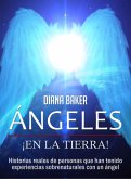 Ángeles en la Tierra (eBook, ePUB)