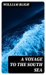 A Voyage to the South Sea (eBook, ePUB) - Bild 1
