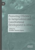 Promoting Efficiency in Jurisprudence and Constitutional Development in Africa (eBook, PDF)