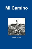 Mi Camino