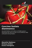 Concime fosfato diammonico