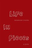 Life in Pieces