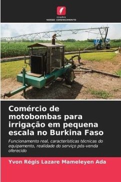 Comércio de motobombas para irrigação em pequena escala no Burkina Faso - Mameleyen Ada, Yvon Régis Lazare