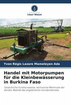 Handel mit Motorpumpen für die Kleinbewässerung in Burkina Faso - Mameleyen Ada, Yvon Régis Lazare