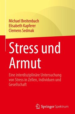 Stress und Armut - Breitenbach, Michael;Kapferer, Elisabeth;Sedmak, Clemens