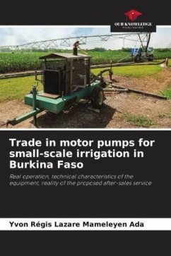 Trade in motor pumps for small-scale irrigation in Burkina Faso - Mameleyen Ada, Yvon Régis Lazare