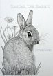 Rascal the Rabbit - Bild 1