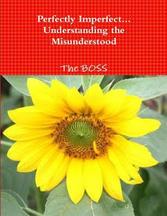 Perfectly Imperfect... Understanding the Misunderstood - Schober, Anne