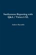 SunSystems Reporting with Q&A / Vision... - Bild 1