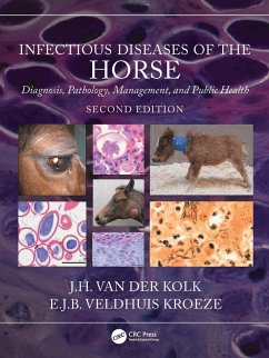 Infectious Diseases of the Horse (eBook, PDF) - Kolk, J. H. van der; Veldhuis Kroeze, E. J. B.