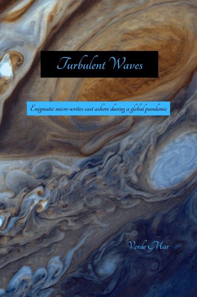 Turbulent Waves (eBook, ePUB)