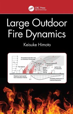 Large Outdoor Fire Dynamics (eBook, ePUB) - Himoto, Keisuke