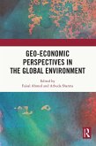 Geo-economic Perspectives in the Global Environment (eBook, PDF)