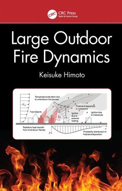 Large Outdoor Fire Dynamics (eBook, PDF) - Himoto, Keisuke