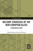 Military Strategies of the New European Allies (eBook, ePUB)