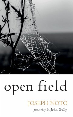 Open Field (eBook, ePUB) - Noto, Joseph