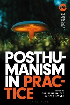 Posthumanism in Practice (eBook, ePUB)