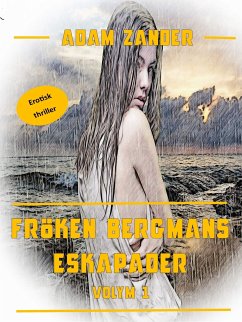 Fröken Bergmans Eskapader (eBook, ePUB)