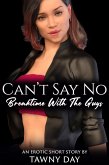 Can't Say No (eBook, ePUB)