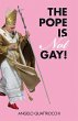 The Pope Is Not Gay! (eBook, ePUB) - Bild 1