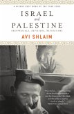 Israel and Palestine (eBook, ePUB)