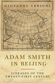 Adam Smith in Beijing (eBook, ePUB)
