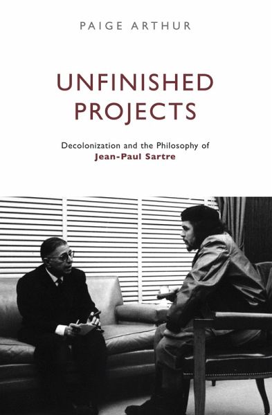 Unfinished Projects (eBook, ePUB)