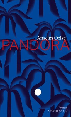 Pandora (eBook, ePUB) - Oelze, Anselm