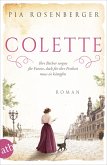 Colette / Außergewöhnliche Frauen zwischen Aufbruch und Liebe Bd.14 (eBook, ePUB)