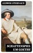 Schattenspiel um Goethe (eBook, ePUB) - Bild 1