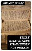 Stille Welten: Neue Stimmungen aus Dingsda (eBook, ePUB)