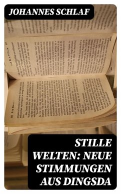 Stille Welten: Neue Stimmungen aus Dingsda (eBook, ePUB) - Schlaf, Johannes