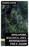 Singapore, Malacca, Java. - Reiseskizzen von F. Jagor (eBook, ePUB)