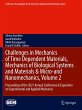 Challenges in Mechanics of Time... - Bild 1