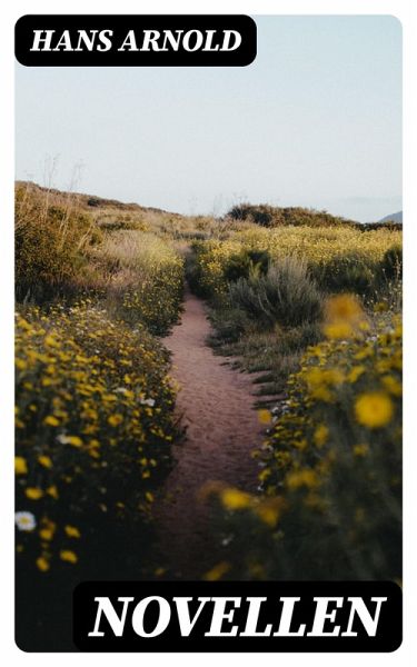 Novellen (eBook, ePUB)