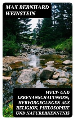 Welt- und Lebenanschauungen; hervorgegangen aus Religion, Philosophie und Naturerkenntnis (eBook, ePUB) - Weinstein, Max Bernhard
