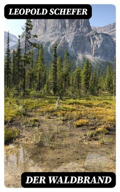 Der Waldbrand (eBook, ePUB) - Schefer, Leopold