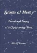 Storm of Mercy - Bild 1