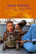Slices of Brain - Bild 1